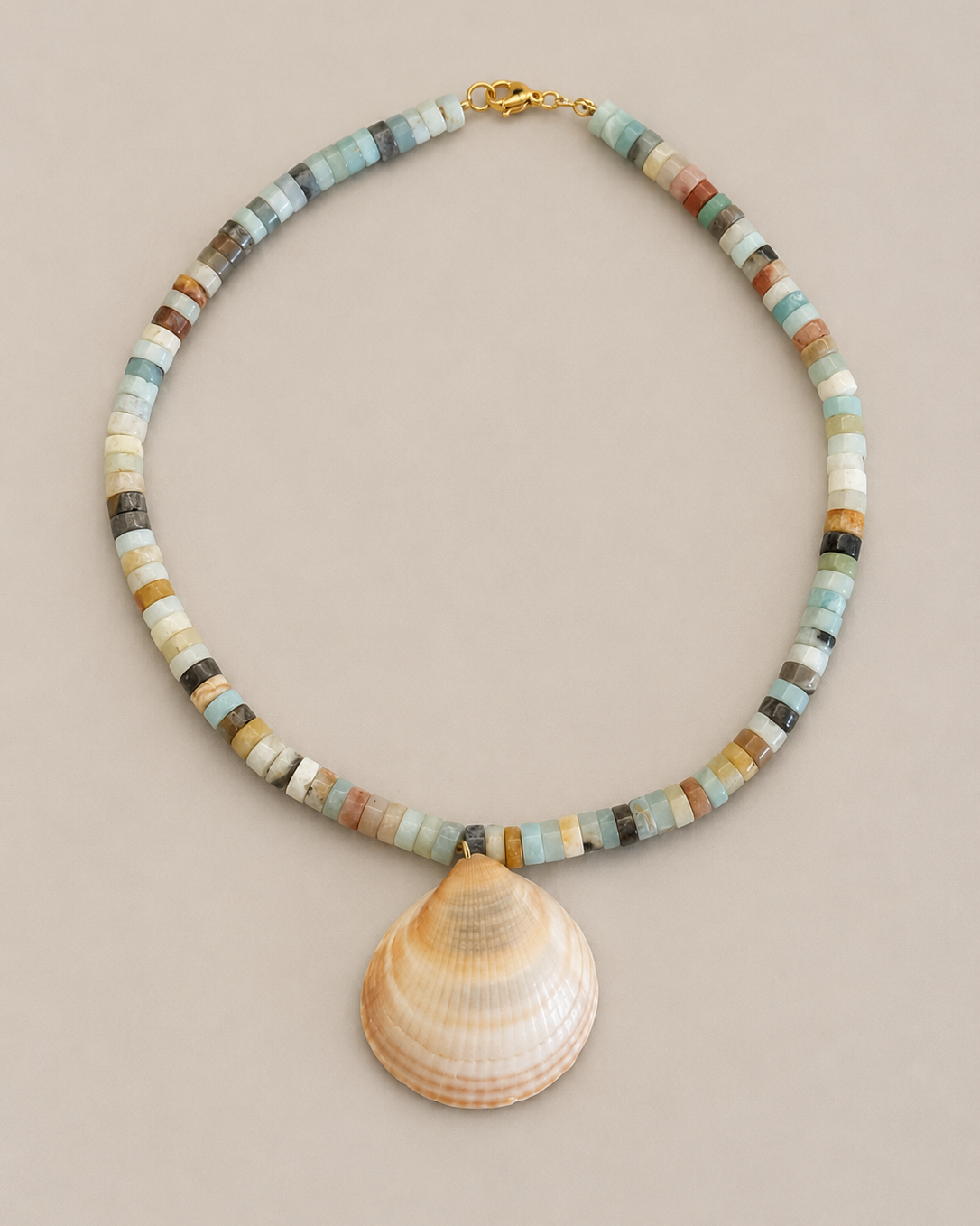 Shell & Stone